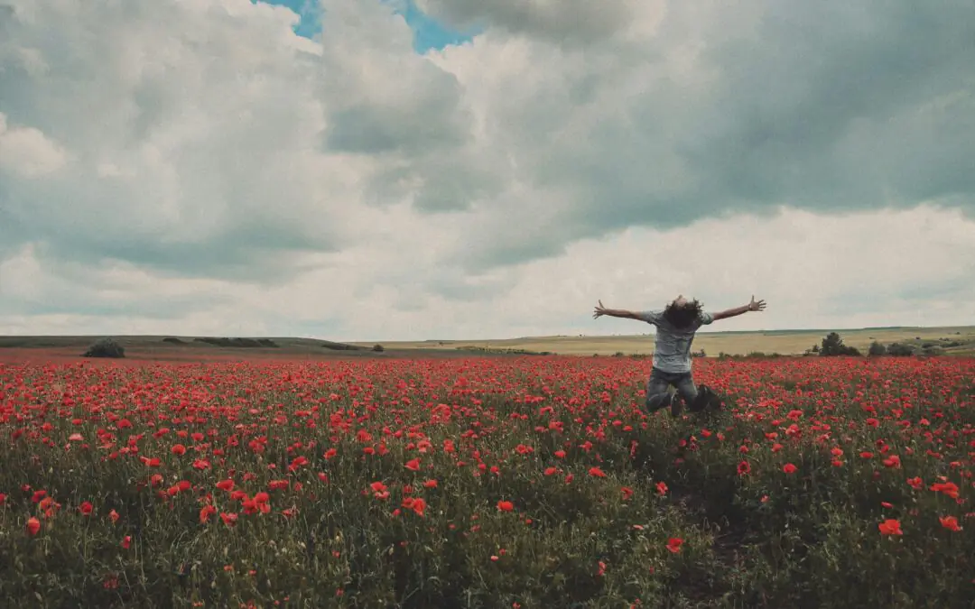 Embracing Catholic Microjoys: A Guide To Finding God’s Presence Daily