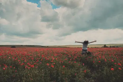 Microjoys? Learn the Catholic way to find God's presence each day in the whispers that He sends to you. Find them!