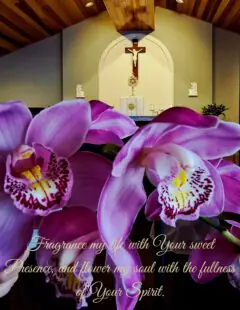 Silence in prayer is so important. When I first encountered silence, I was filled with fear. Silence and fear together.