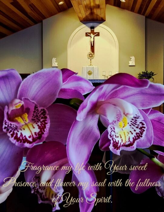 Silence in prayer is so important. When I first encountered silence, I was filled with fear. Silence and fear together.